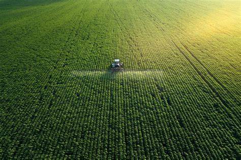 turbo fan sprayers